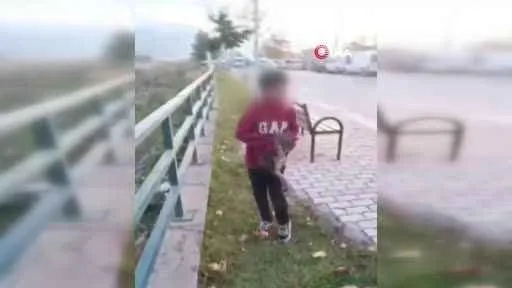 TikTok'ta paylaşmak için acımasızca görüntüleri kaydetmişti, sınır dışı edilecek