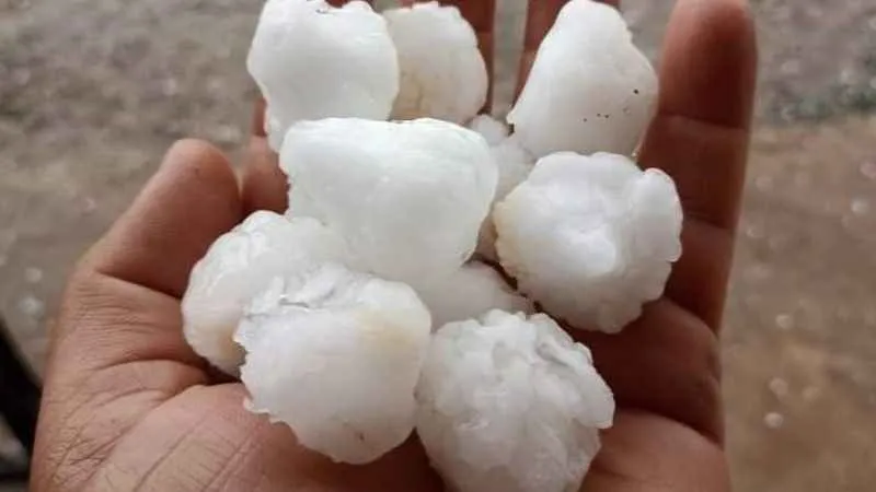 Adıyaman’da ceviz büyüklüğünde dolu tarım alanlarına zarar verdi