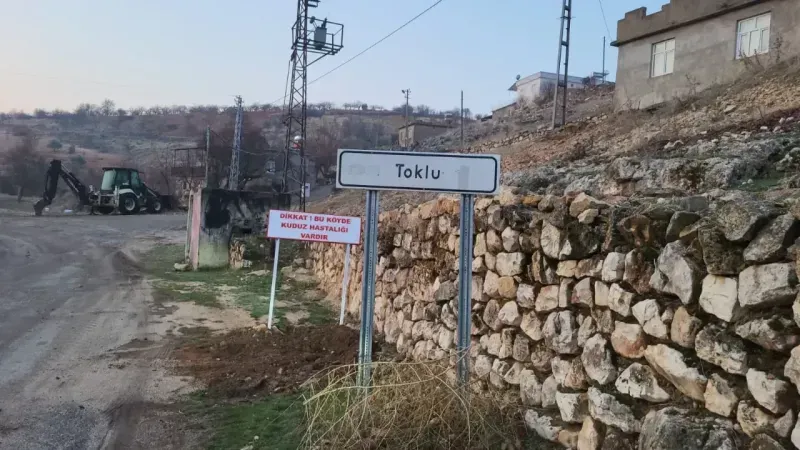 Adıyaman’da bir köye kuduz karantinası uygulandı!