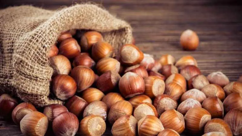 Fındık 125 lirayı görecek