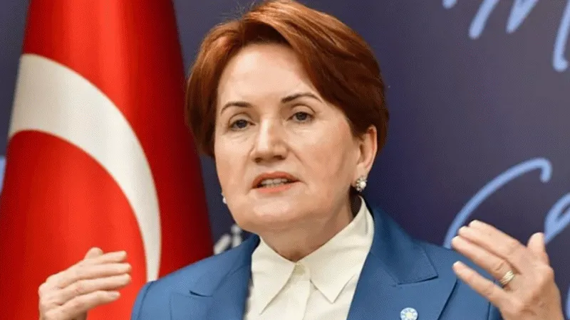 Akşener, AK Partili seçmenden oy istedi