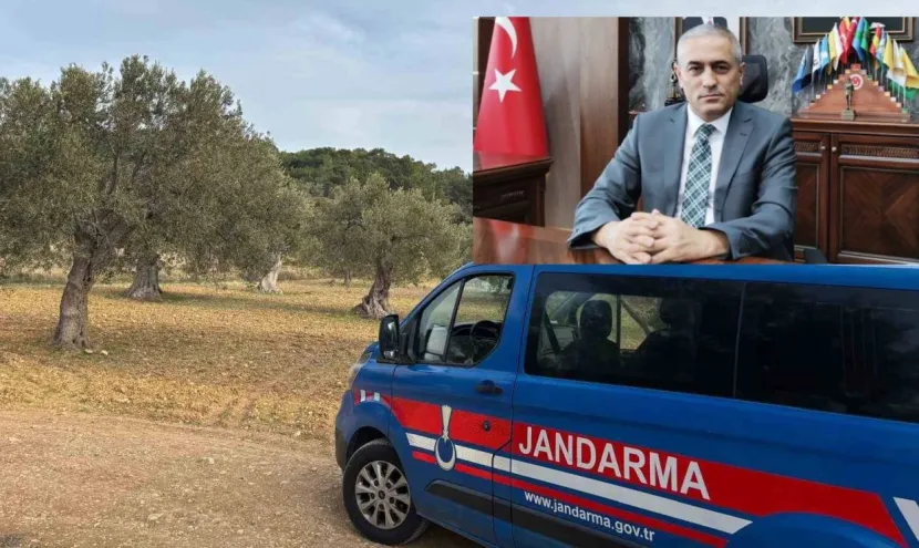 Aliağa’da zeytin hasadı başladı, güvenlik önlemleri artırıldı