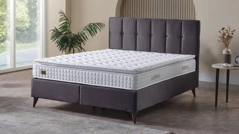 Armis'ten baharı evinize taşıyan kampanya