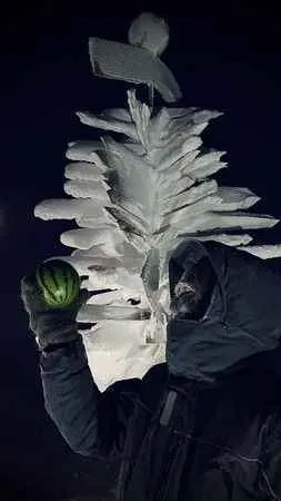 Rus bilim adamları Antarktika’da karpuz yetiştirdi