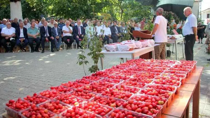 Şenköy Kızılcık Şenliği'nde renkli görüntüler