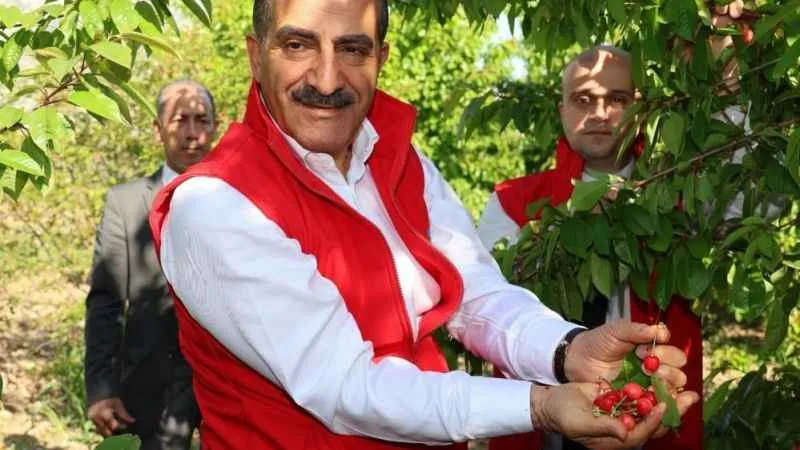 Kiraz ihracatı 200 milyon doları aştı