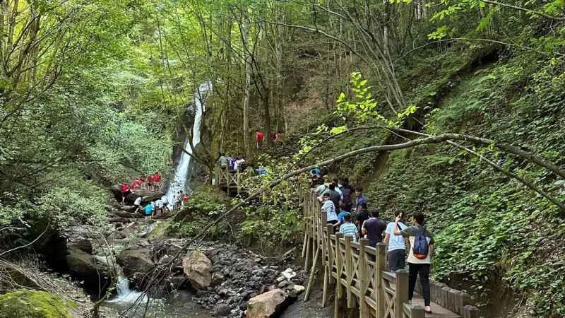 Güreş için geldiler kültür turu yaptılar