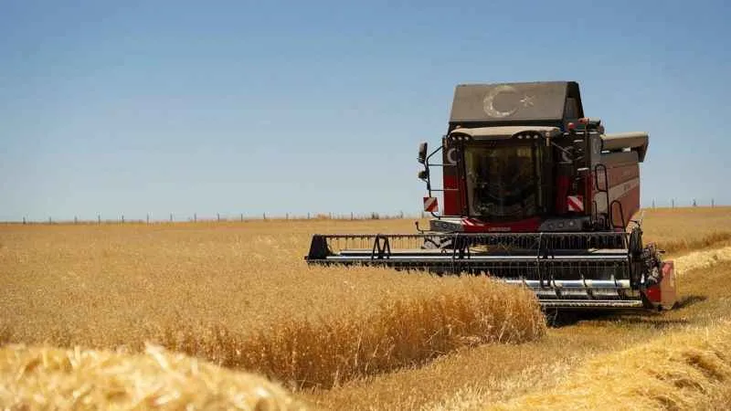 Yerli üreticiye global destek