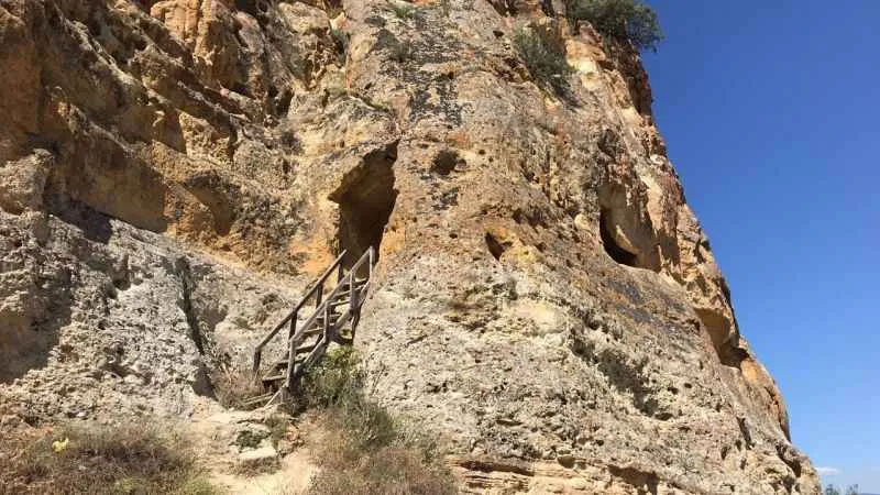 Tarihi Manastır ilgisizlik nedeniyle kuşlara yuva oldu
