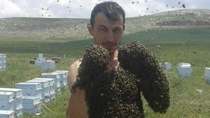 Arı adam görenleri hayrete düşürüyor