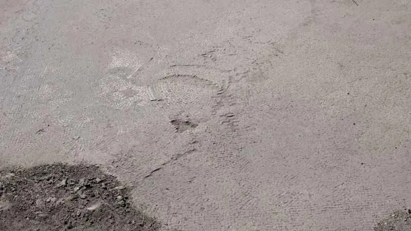 Tarlada heyecanlandıran keşif: Kazı çalışmaları başladı