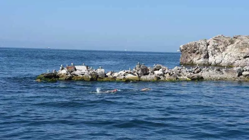 Sarayburnu’ndan Sivri Ada’ya 16.5 kilometrelik yüzme geçişi için ilk adım atıldı