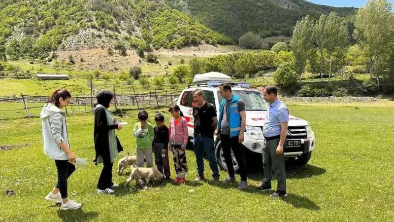 Doğaseverler kene popülâsyonuna dikkat!