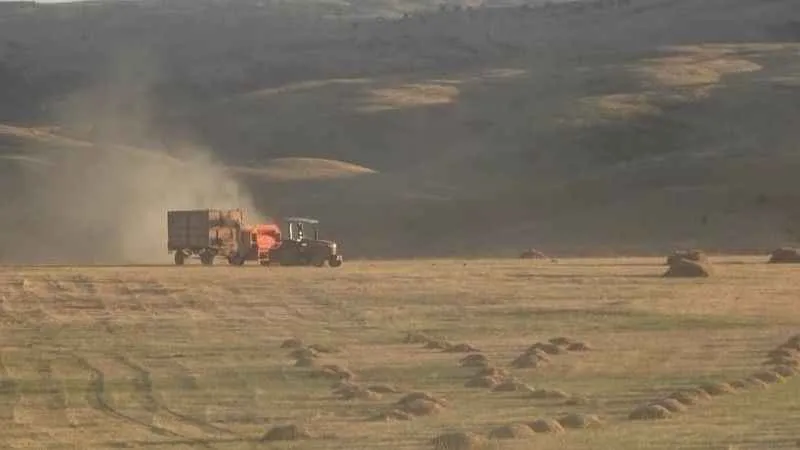 Tarım-ÜFE yıllık yüzde 62,48 arttı