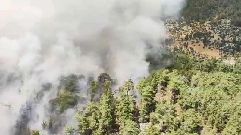 Antalya’da orman yangını