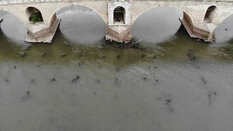 Meriç Nehri’ni kuraklık vurdu