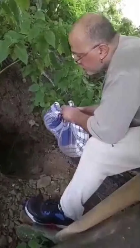 Beyoğlu’nda İBB aracının ezdiği kedi öldü: Esnaf kediyi defnetti