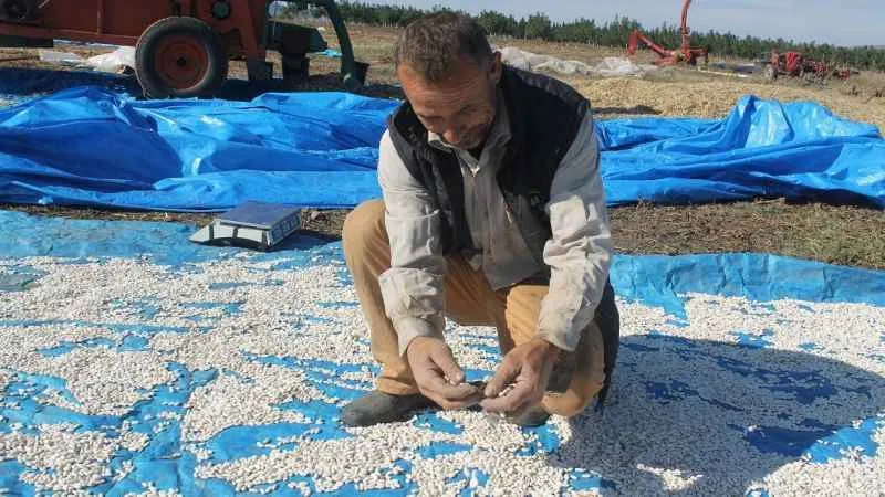 Don Kazaklarının fasulyesi de coğrafi işaret aldı