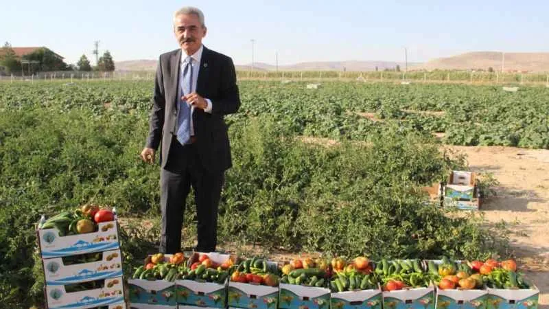 Karaman'ın Ayrancı ilçesinde halk salatalık ve domatesin kilosunu 1 liradan alıyor