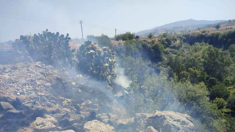 Osmaniye Düziçi'nde orman yangını