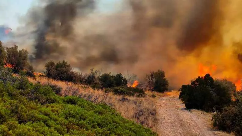 Yunanistan yangınlarla mücadele ediyor: 1 ölü