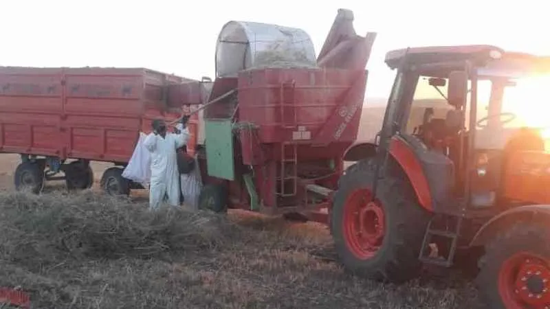 Çiftçilerin yem ve saman seferberliği