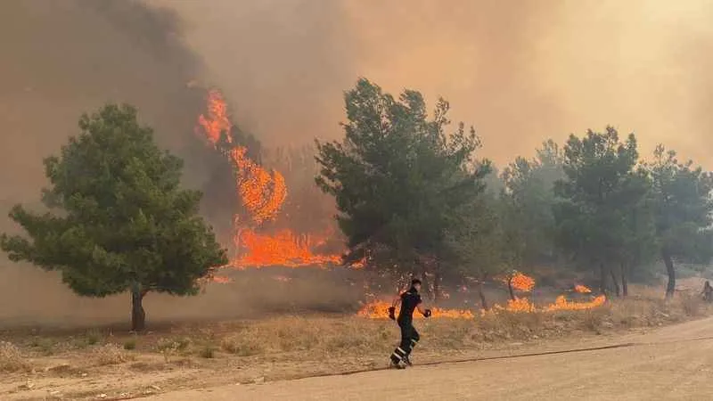 Çanakkale yangını rüzgarın etkisiyle yeniden alevlendi