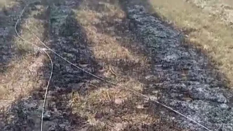 Konya'da kopan elektrik telleri tarlada yangın çıkardı