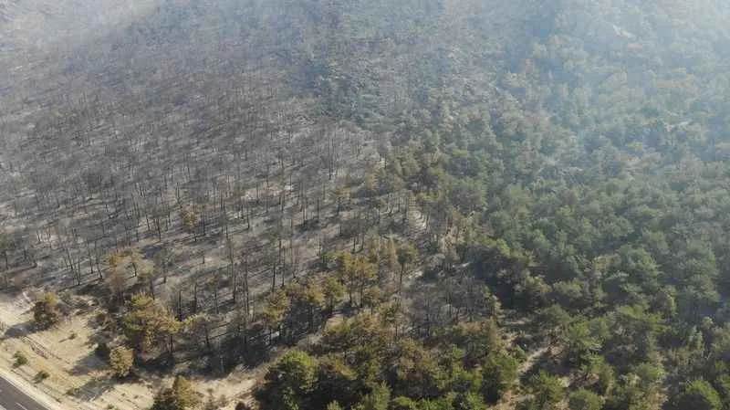 Eskişehir’deki orman yangını kontrol altına alındı