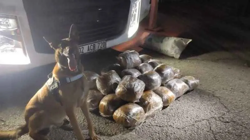 Osmaniye'de arpa yüklü tırda 40 kilo skunk ele geçirildi