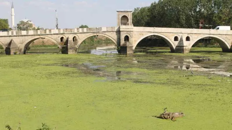 Edirne'de Tunca Nehri kirlilikten yeşile büründü