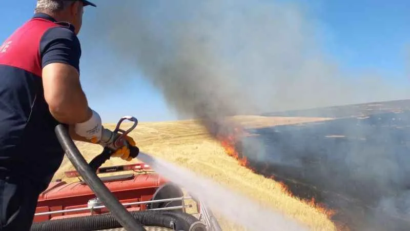 Ağrı’da onlarca dönüm ekili tarla küle döndü