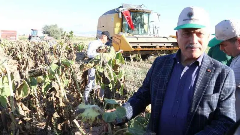 Ay çekirdeğinin kalbinde hasat başladı