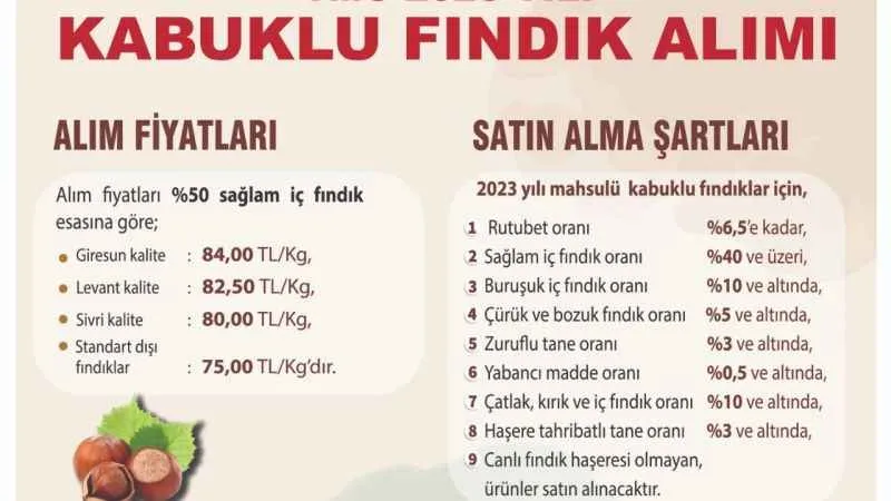 Toprak Mahsulleri Ofisi 2023 yılı kabuklu fındık alımları başladı