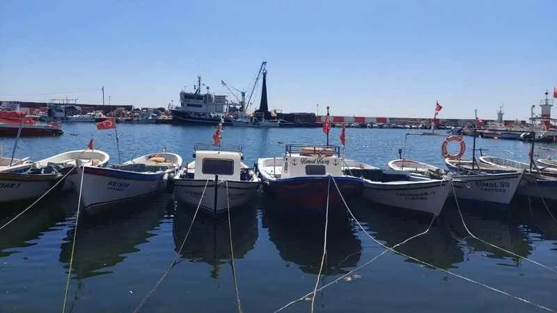 Av yasağı kalkıyor: Palamuttan haber yok