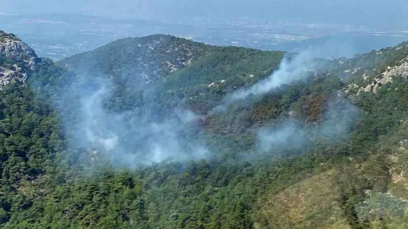 İzmir'deki orman yangını kısmen kontrol altında