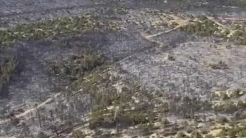 Kütahya'da yanan ormanlık alanlar havadan görüntülendi