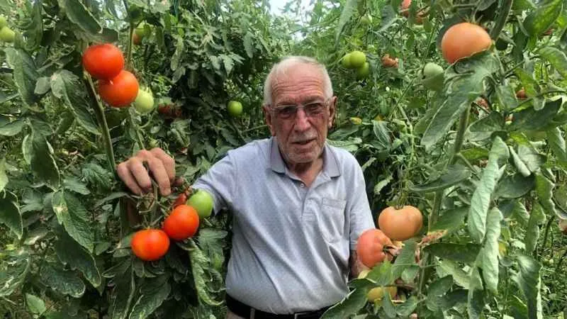 Seracılık üreticinin yüzünü güldürüyor