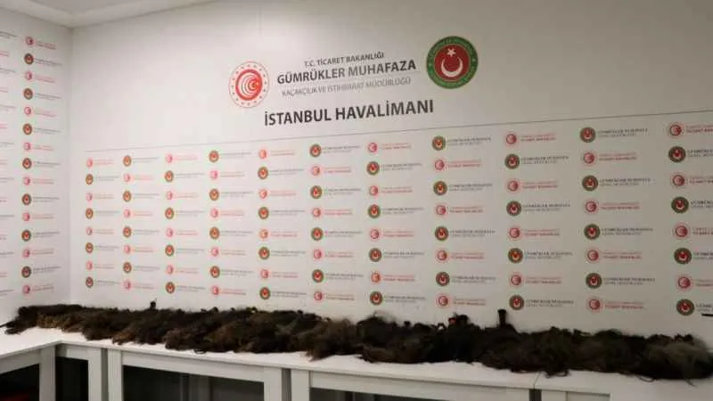 İstanbul'da insan saçı kaçakçılarına gümrük muhafaza engeli
