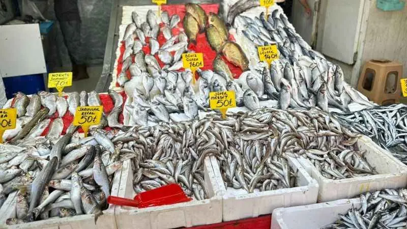 Av yasağının kalkmasıyla balık pazarlarında tezgahlar dolup taştı