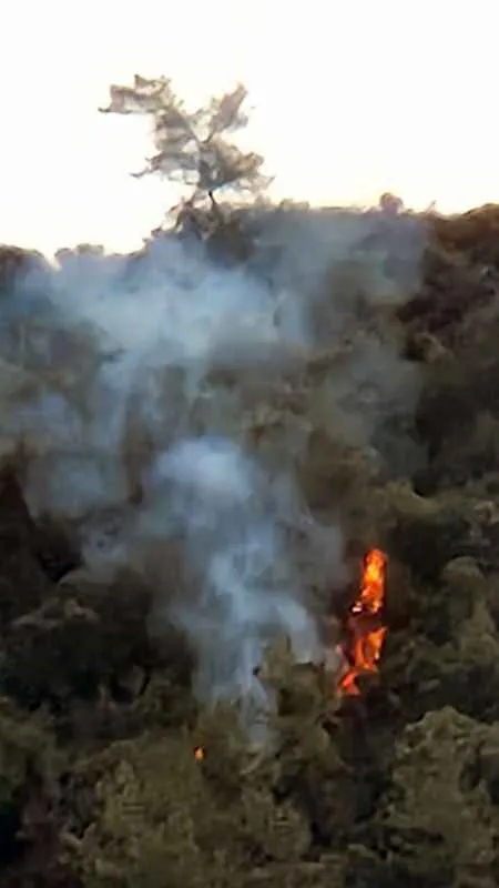 Marmaris Karacasöğüt’te orman yangını