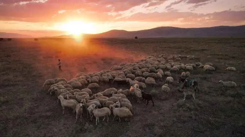 750 yıllık Yörük geleneği renkli görüntülere sahne oldu