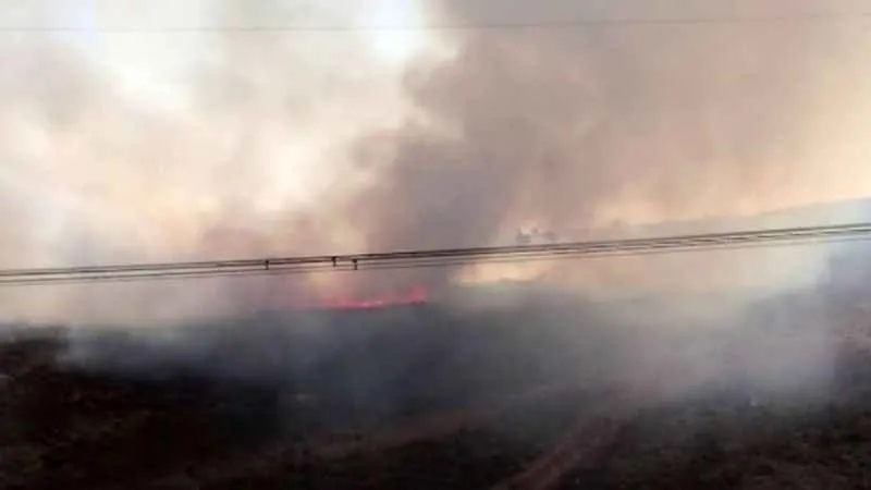 Sancaktepe’de çıkan ot yangını helikopter müdahalesiyle söndürüldü