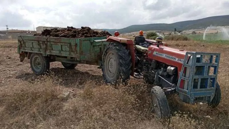 El frenini çekmeyi unuttuğu traktörün altında kaldı