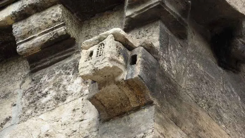 Ecdadın hayvan sevgisini gözler önüne seriyor