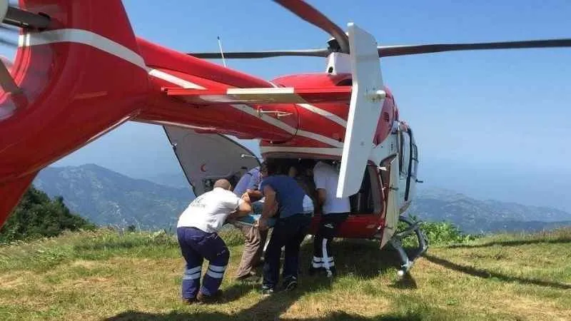 Yaz mevsiminde 113 vaka için havalandı