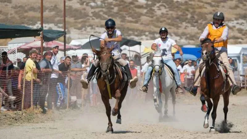 Türkiye'nin en iyi rahvan atları Menemen'de yarıştı
