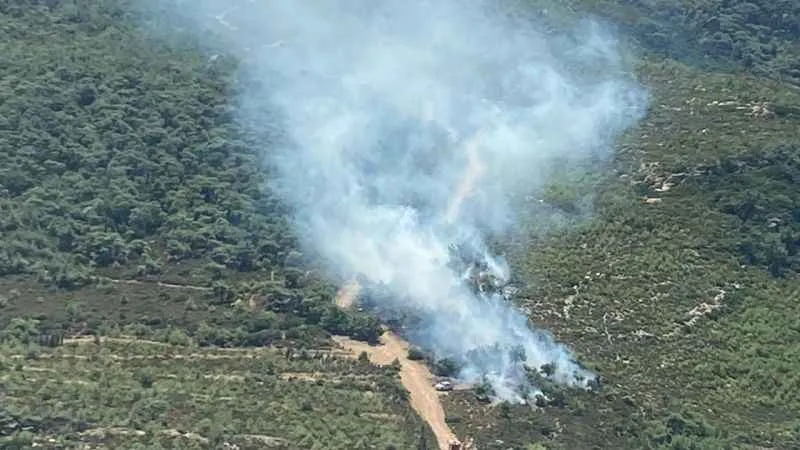Foça’daki orman yangını kontrol altında