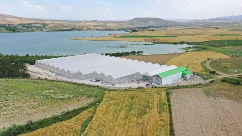 Jeotermal serada 'topraksız tarım' başladı: Yaz kış üretim olacak