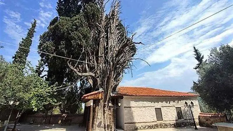 900 yıldır bu mahallede davul çalınmıyor